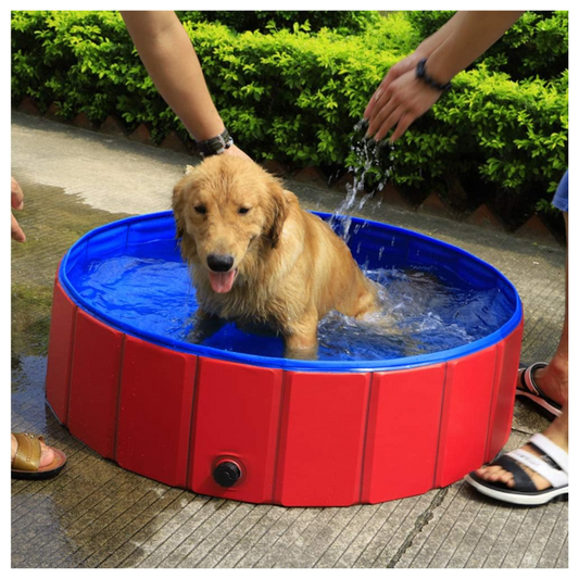 Piscina para Perros